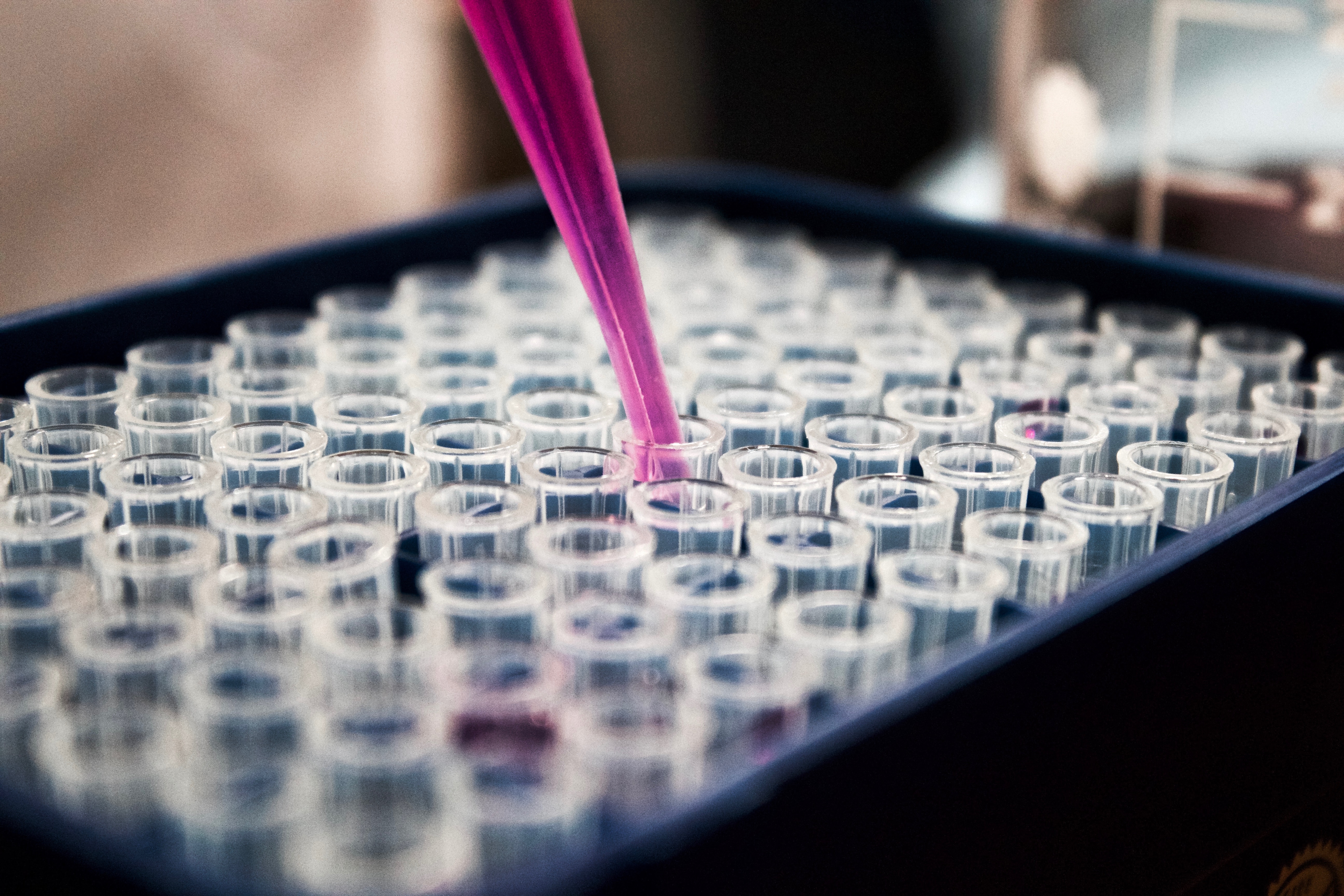 Chemistry & Chemical Biology, PhD