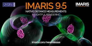 Bitplane Imaris Software