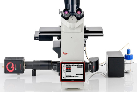Leica DMi8 Widefield high-performance widefield fluorescence microscope