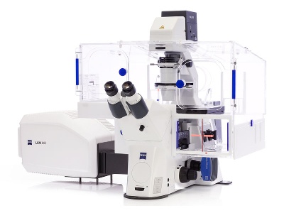 The Zeiss LSM800 point scanning confocal microscope