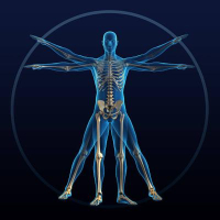 Kinesiology and Applied Physiology, PhD
